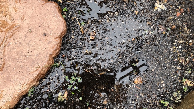 Saturated soil can lead to all kinds of problems. Also, avoid walking on wet soil -- it can easily be compacted.
