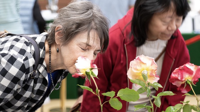 Rose fans take time to smell the flowers at a previous show. The district-wide rose show this weekend will feature the best rose exhibitors from four states.