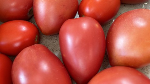 Image caption: Rugby tomatoes can be used for sauce, drying or fresh for salads. They can be slightly heart-shaped or rugby-ball-shaped, and have shown to be good producers in the Central Valley lowlands.