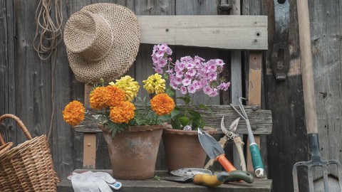 Image caption: Find many types of plants, get garden tools sharpened, and support a fundraiser during the Sacramento Perennial Plant Club sale on Friday, Oct. 18.