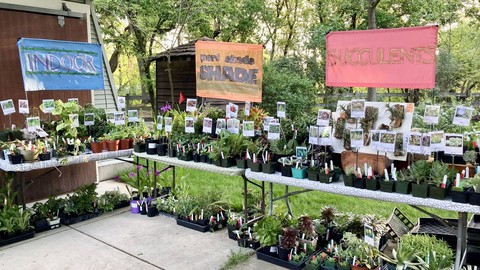 Image caption: This photo from an earlier sale shows just some of the types of plants that will be available at the Sacramento Perennial Plant Club spring sale this Friday and Saturday. Plenty of summer vegetables and California natives, too!