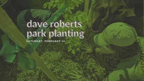 Volunteers are needed to plant trees at Dave Roberts Park in Rancho Cordova.