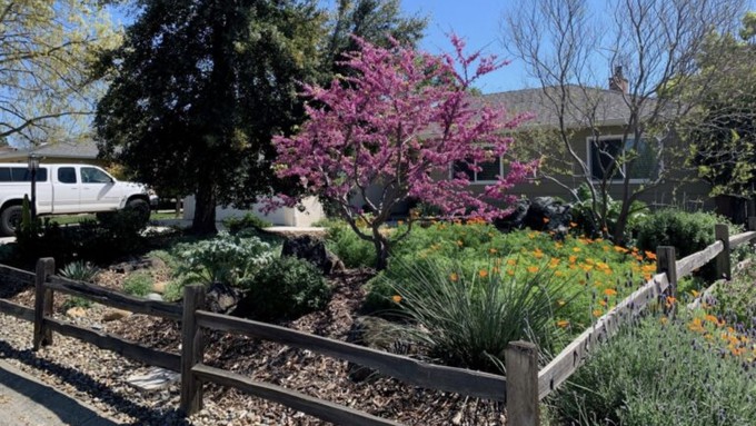 The Salisbury family's front yard has plenty of colorful plants and no lawn.