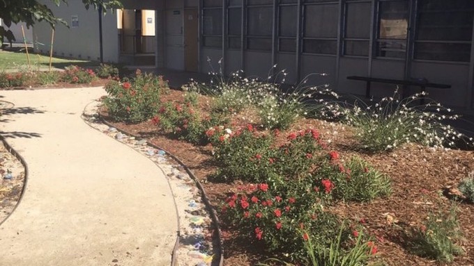 The Natomas Garden & Arts Club and Garden Valley Elementary School used a 2019 Saul Wiseman Grant to create a butterfly garden at the Sacramento school.