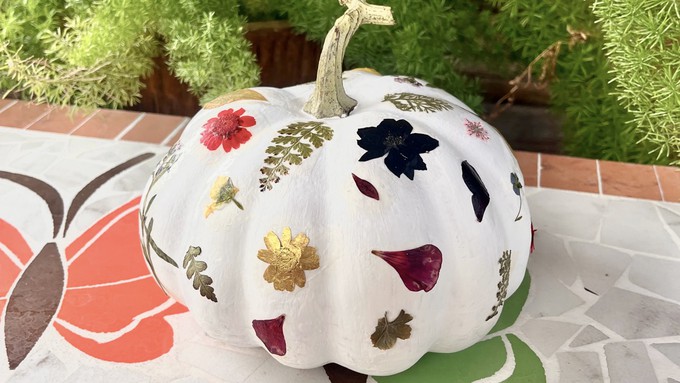 This fanciful pumpkin is an example of the project to be made in the Pressed Botanical Pumpkin workshop on Sunday, Oct. 6, at The Secret Garden.