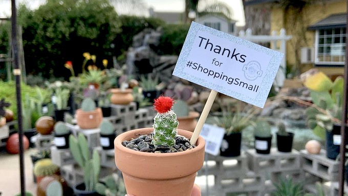 Shoppers can find succulents, cactus and fun containers -- small and large -- at The Secret Garden during its special sales this weekend.