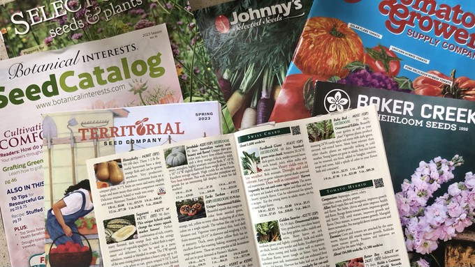 Got seed catalogs? The expected wet weather this next week makes it a good time to do some armchair seed shopping.