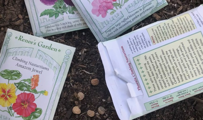 It's the perfect time to plants seeds for flowers such as nasturtiums, poppies and sweet peas.
