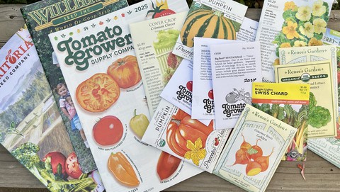 Image caption: These catalogs are tempting, but it's best to check over the seeds already in hand before ordering more. (Those golden beets? From 2015  -- and headed to the compost pile.)