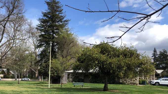 The  Shepard Center is in the eastern extension of McKinley Park, which will gain some new trees Saturday. The center's big Spring Sale also happens this weekend. Admission is free.