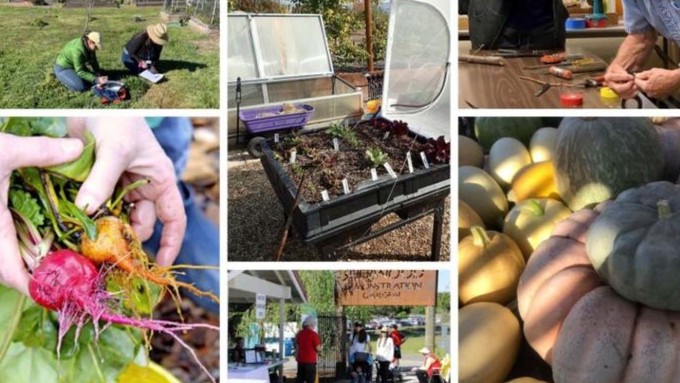 Master gardeners will demonstrate all sorts of garden tasks while answering questions during Open Garden Days at Sherwood Demonstration Garden.