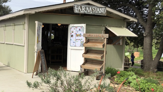 The Soil Born Farmstand will be open Saturday during the Halloween at the Farm celebration.