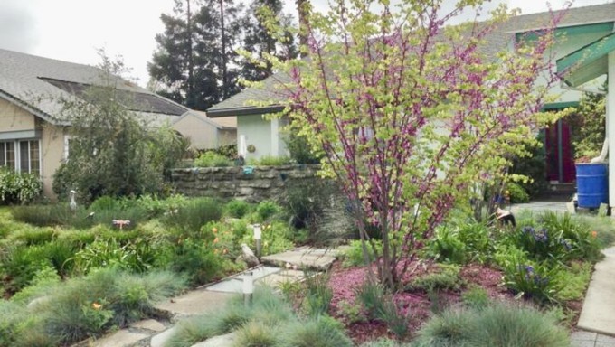 Soleil Tranquilli, a professional landscape designer, says her own yard is "a demonstration garden of a sort," crammed with habitat.