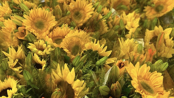 These bright sunflower bouquets are among the ones Relles Florist plans to give away Wednesday.