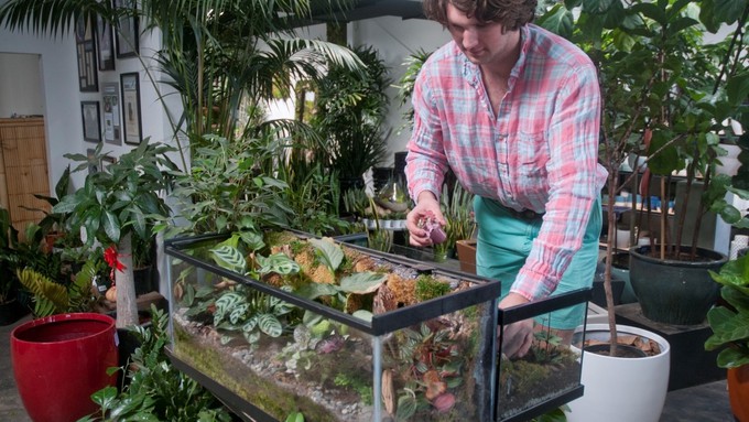 An Exotic Plants staff member builds a large terrarium at the store. A "Glass Gardens" workshop will be held there this Saturday, June 29.