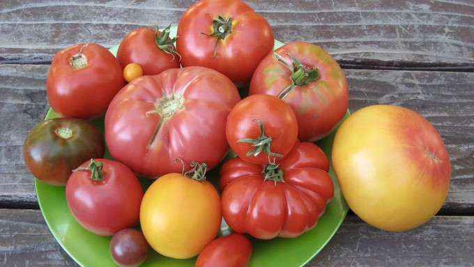 Tomatoes are Sacramento’s jam — and soup and sauce and the starting point for many other wonderful dishes.
