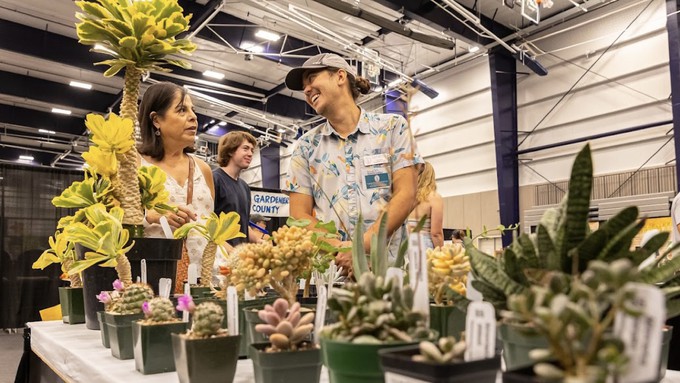 The show's Garden Market will be well stocked with offerings from specialty nurseries including The Savvy Spade, Barsch Tropicals and So Cute Succulents. Part of last year's Garden Market is shown above.