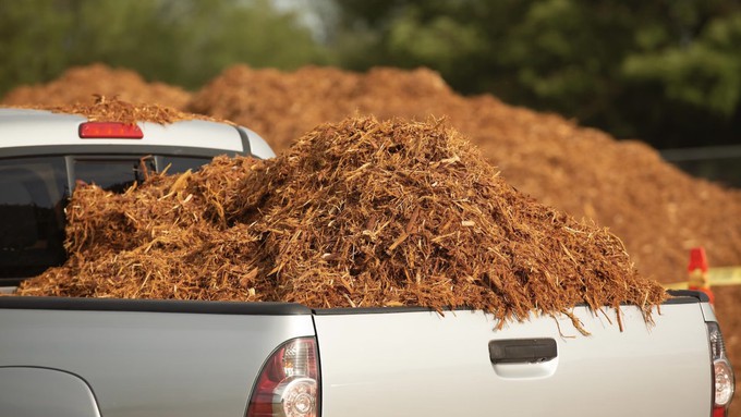 Get free mulch for your garden while it lasts!