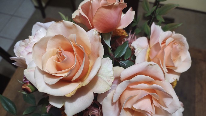 These are very late-blooming roses, a bouquet of Marilyn Monroe and Tamara (an Austin rose).