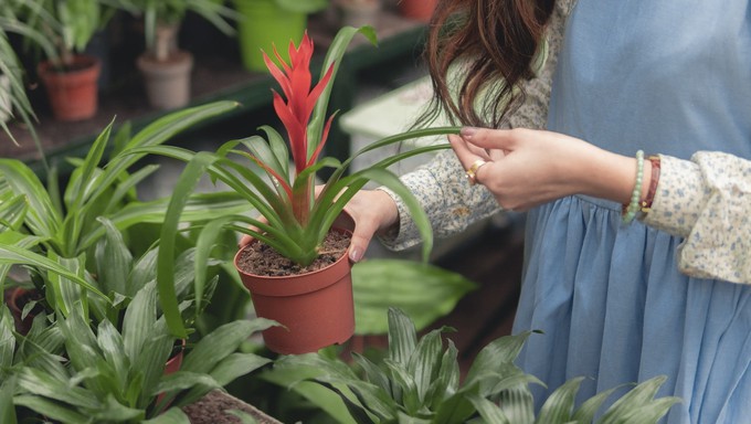 Discover your landscaping style during the Sacramento Home & Garden Show this weekend, Oct. 11-13.