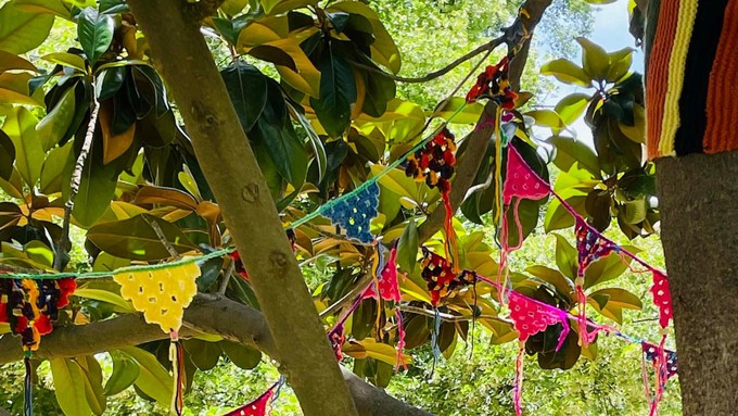 Crocheted yarn flags decorate trees in Sacramento's McKinley Park, thanks to the Sacramento Center for Textile Arts' "yarn bombing." All the yarn art comes down Friday.