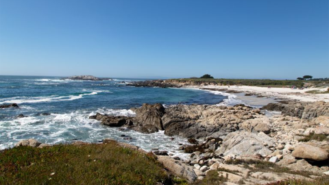 Image caption: 17-Mile Drive, just one of the many stunning visuals in Monterey County.