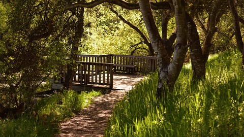 Image caption: The Frog Pond is a big concern for some Del Rey Oaks residents who oppose FORTAG, but the park district that owns and maintains the pond fully supports the trail project.