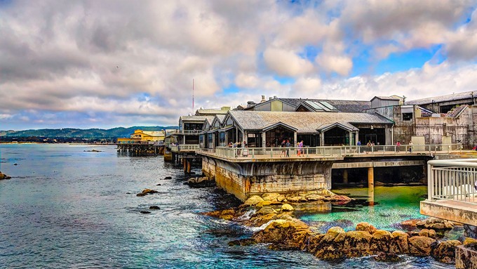 Since the 1920s, the Monterey Bay has been a marine science hub. And the Monterey Bay Aquarium is the biggest draw for visitors.