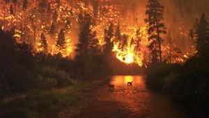 Ten different districts combine to fight fires in Nevada County.
