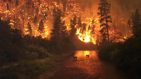 Image caption: Ten different districts combine to fight fires in Nevada County.