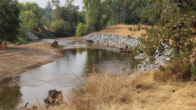 Using funds from the California Urban Rivers Grant Program, Roseville got to work on habitat restoration along Dry Creek.