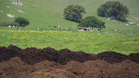 Image caption: At the dump, food waste is methane-producing garbage. At a farm, it's a valuable part of the food web.