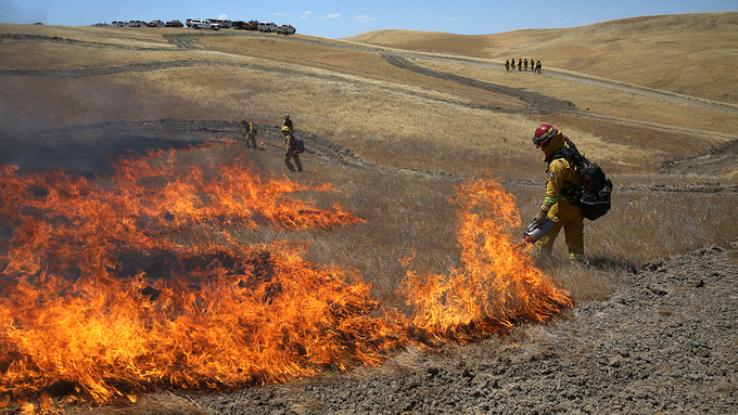 Image caption: Cal Fire personnel engaged in live fire training in Williams, California.