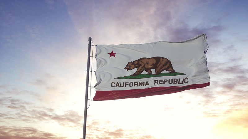An image of the California Bear Flag.