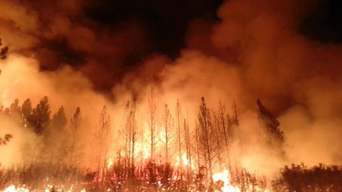 Image caption: Truckee's 'Moonshine Ink' newspaper offers a unique package of fire coverage.
