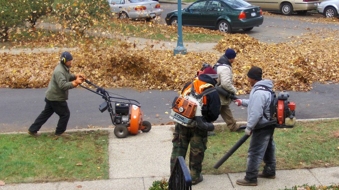 Image caption: Despite a new law, leaf blowers may not be going away anytime soon.