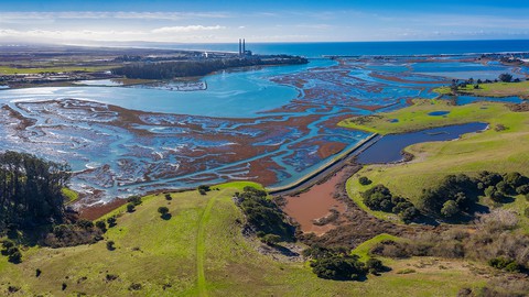 Image caption: Elkhorn Slough, California's second largest estuary, is just one of the natural wonders in the Monterey Bay region.