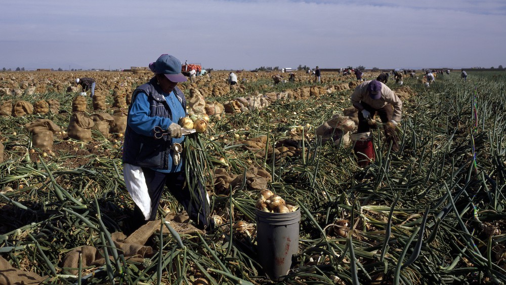 They help feed the whole country, but life for California’s farm workers remains a struggle.