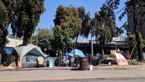 Data shows that homelessness immediately decreased once renter protections were put in place.