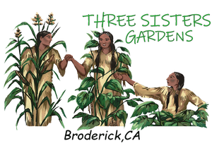 Three Sisters Gardens of Broderick logo