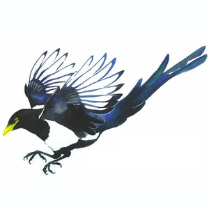 San Joaquin Audubon Society logo