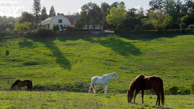 Image for Town of Los Altos Hills Planning Commission