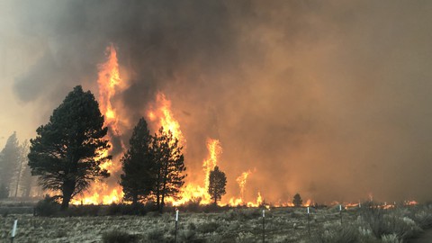Image caption: A raging Oregon wildfire is bearing down on one of California's main power transmission routes.