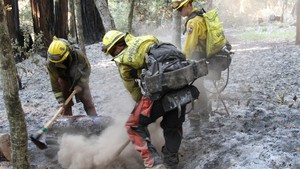 The 2020 CZU Lightning Complex Fire burned more than 86,500 acres in Santa Cruz and San Mateo Counties.
