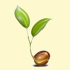 Silicon Valley Seeds logo