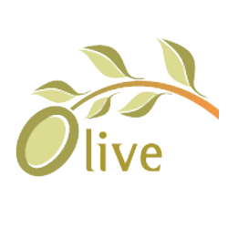 Olive Children Foundation logo
