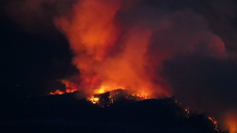 Image caption: Shortly before the 2020 fires, Santa Cruz County's Grand Jury warned that the regional fire prevention system was dangerously complex.