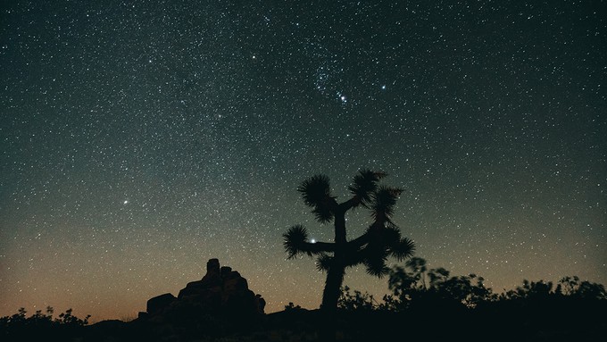 Image caption: Joshua Tree National Park is a great place to spend International Dark Sky Week, but even closer to home there are activities one can do to appreciate heavenly bodies.