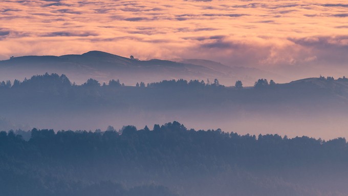 Image caption: The Santa Cruz Mountains, an inspiration for local artists for many decades.