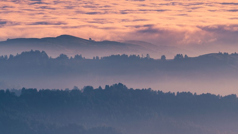 The Santa Cruz Mountains, an inspiration for local artists for many decades.